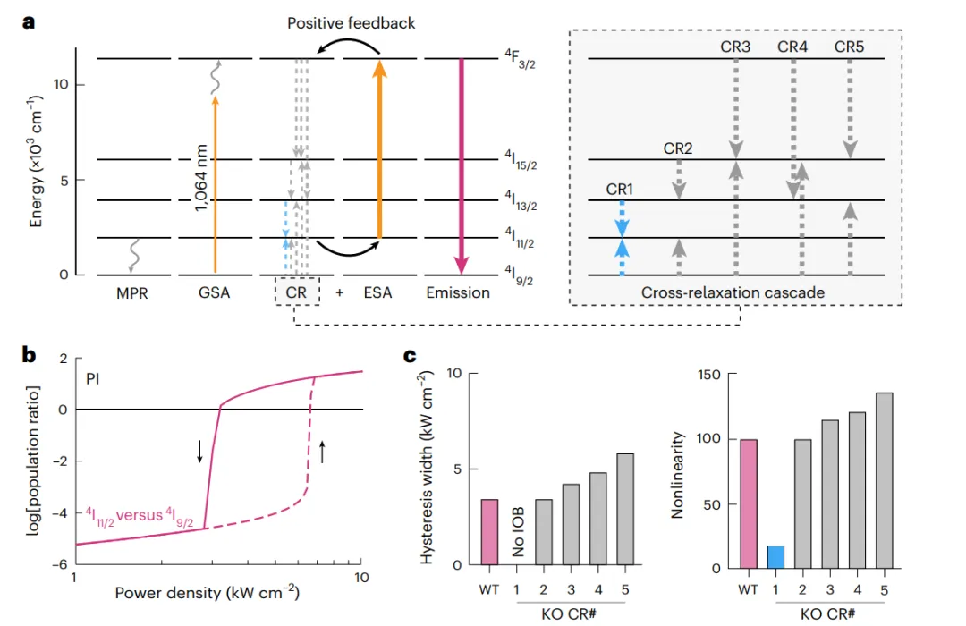 雪崩納米粒子ANPs中的本征光學(xué)雙穩(wěn)態(tài)IOB模型。