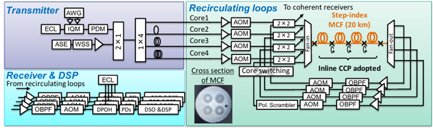 2×2聲光光開(kāi)關(guān) 多芯光纖循環(huán)芯置換 芯間串?dāng)_抑制 3000 公里傳輸實(shí)驗(yàn) 2×2聲光光開(kāi)關(guān) 多芯光纖循環(huán)芯置換 芯間串?dāng)_抑制 3000 公里傳輸實(shí)驗(yàn)