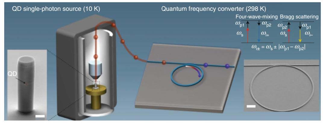 科毅寬溫光開關在東數西算工程光路調度示意圖