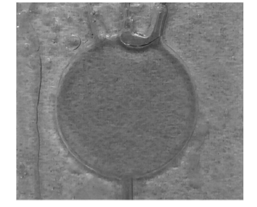 微流控光開關(guān)在實(shí)際應(yīng)用中的效果，包括不同流速下的遮光形態(tài)及透光/遮光對比  - 廣西科毅光通信